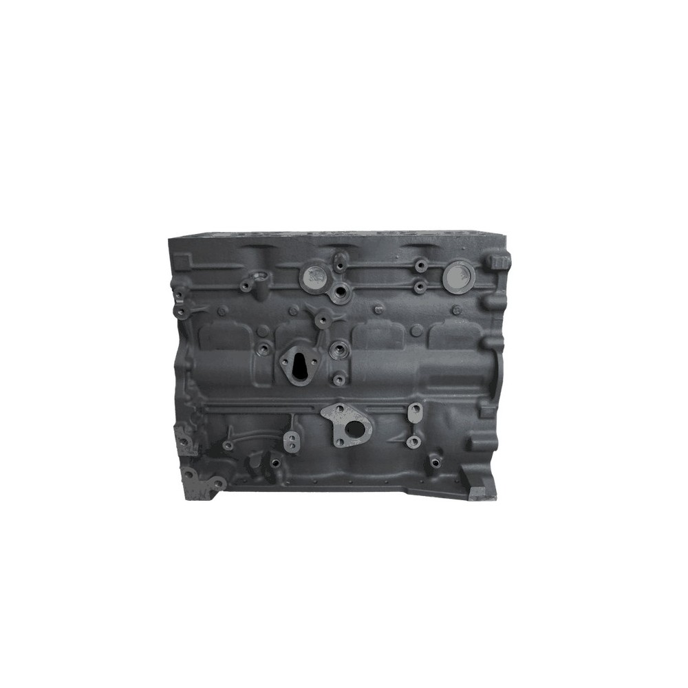 F4AFE411 - TECTOR EURO 6      4 CYL - Bloque de cilindros