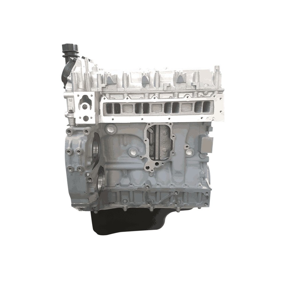 F1CE0441 - DAILY CNG (12000) - Motor Semicompleto