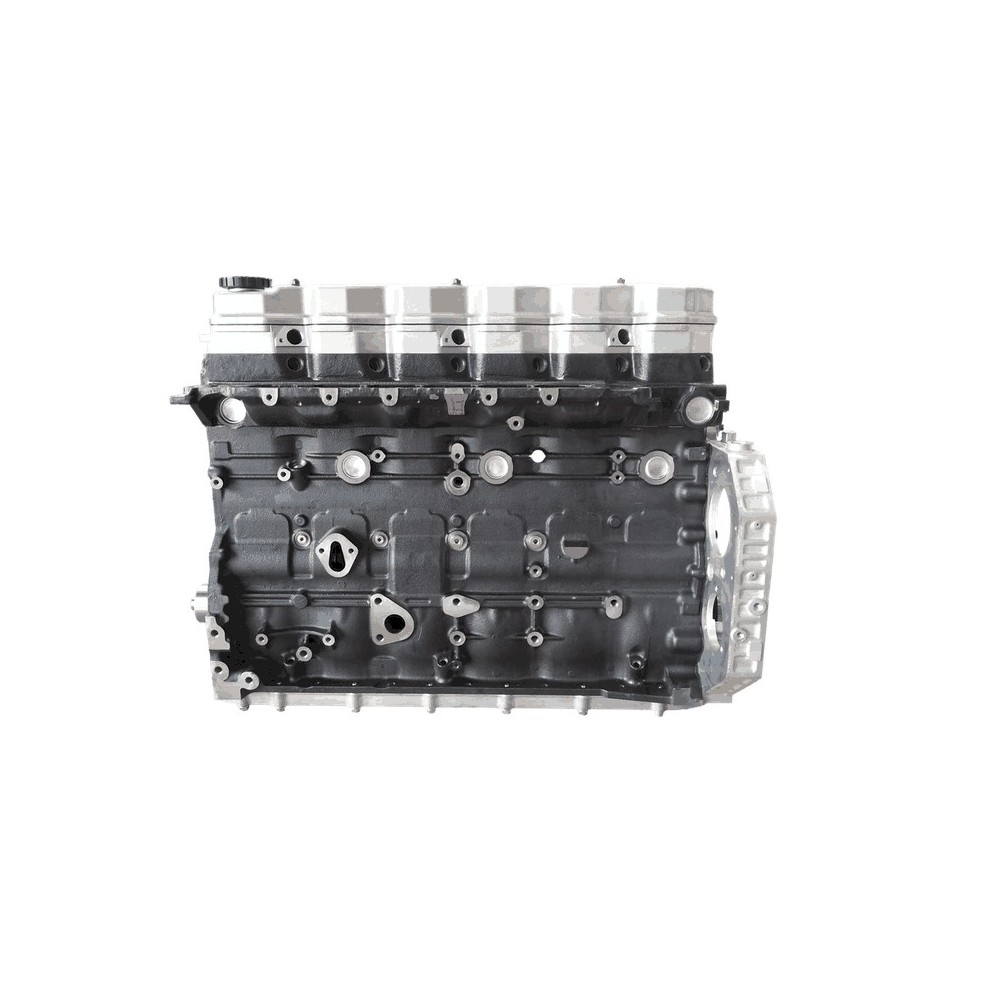 F4AE0681 - TECTOR 6 CYL - - Motor Semicompleto