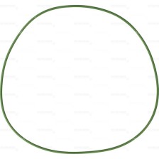 GOMMINI CANNE  141 X 1.9 - O-RING