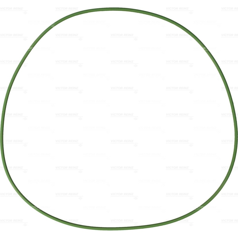 GOMMINI CANNE  141 X 1.9 - O-RING