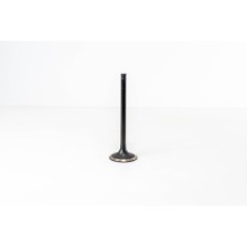 8210.22/42 - EUROSTAR/EUROTECH - Valvula OE