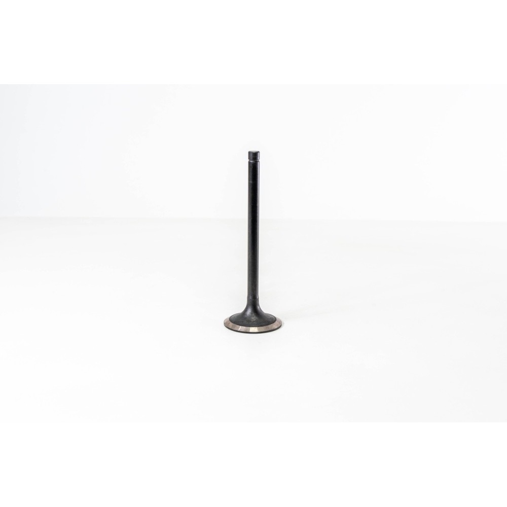 8210.22/42 - EUROSTAR/EUROTECH - Valvula OE