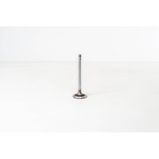 8140.21/27/47/61/23/43 - DAILY - Valvula OE