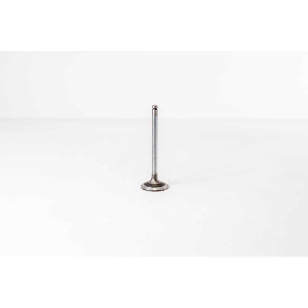 8140.21/27/47/61/23/43 - DAILY - Valvula OE