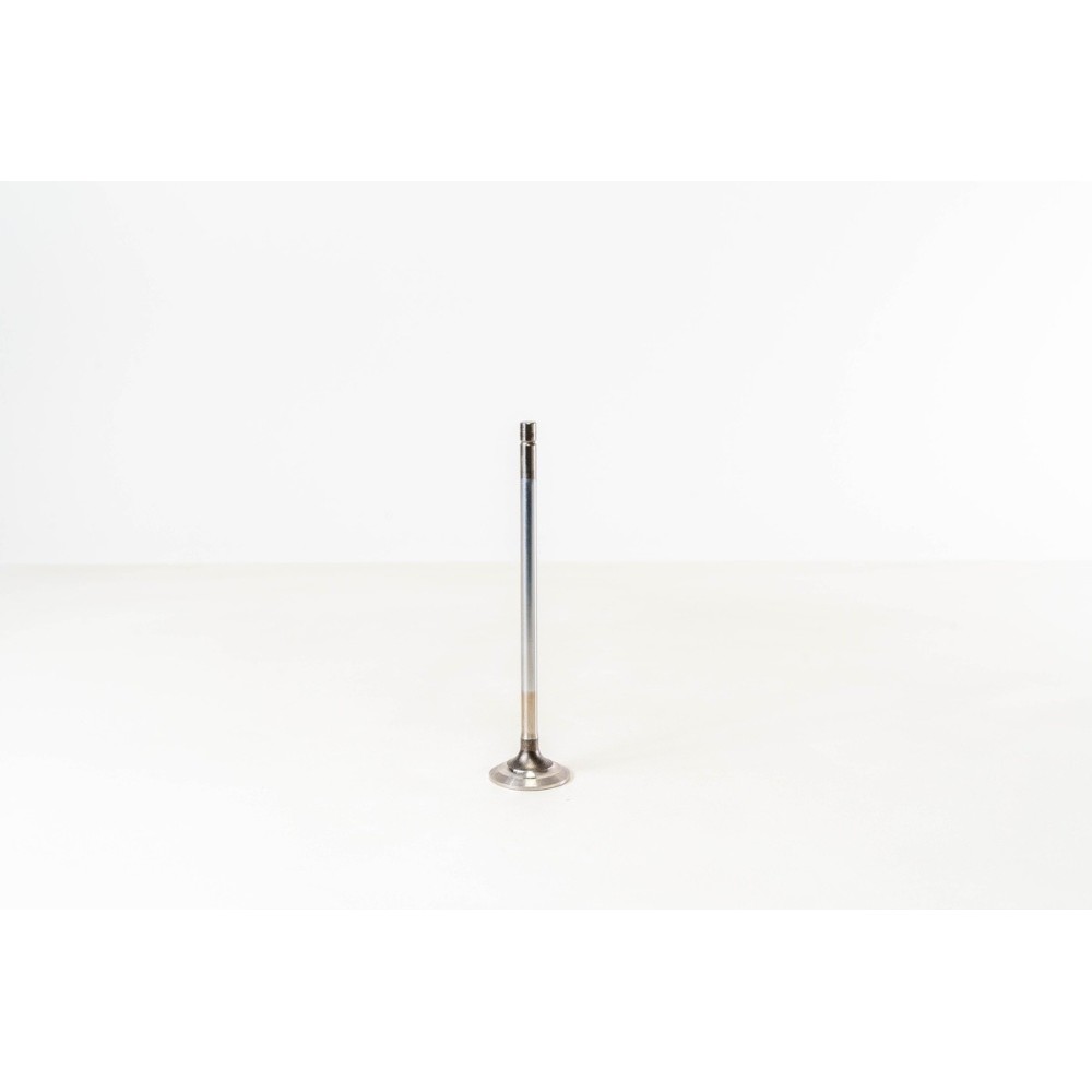 8460.21/41 - - Valvula OE