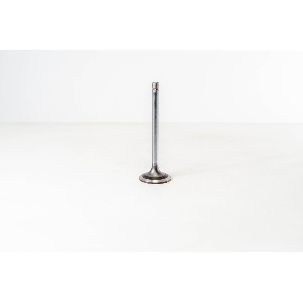 8210.22/42 COLL.10 IN - Valvula OE