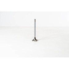 8460.21/41 - - Valvula OE