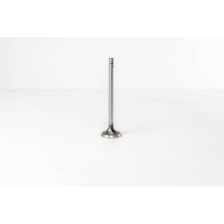 8210.22/42 COLL.10 EX - Valvula OE