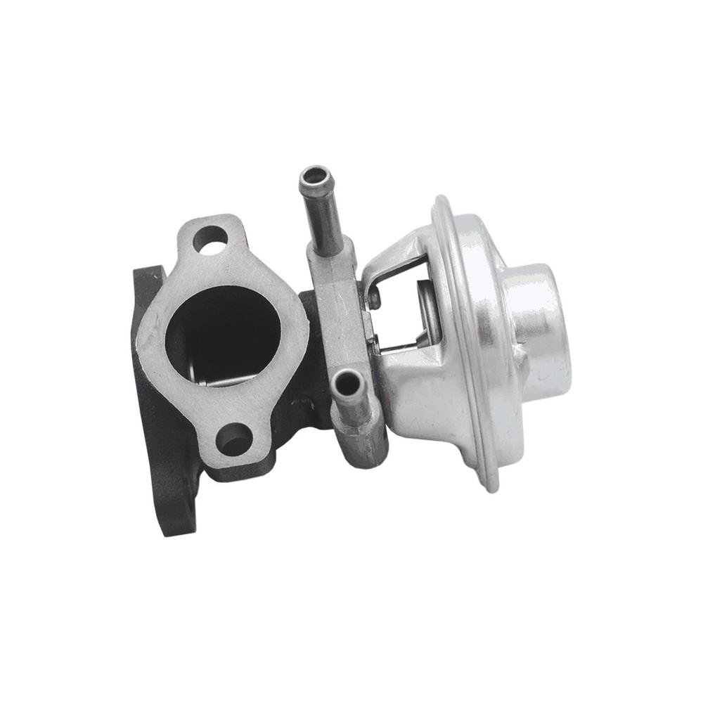 DAILY/DUCATO 2.3 - F1AE0481 - EGR