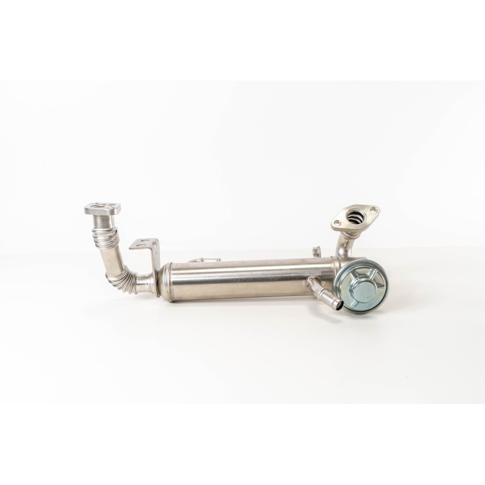 DAILY 2.3 - F1AE0481 - EGR