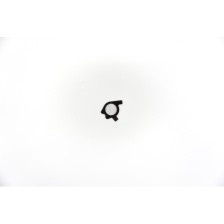 8140.21/S9W 700/2 - DAILY/MASTER - Miscellaneous