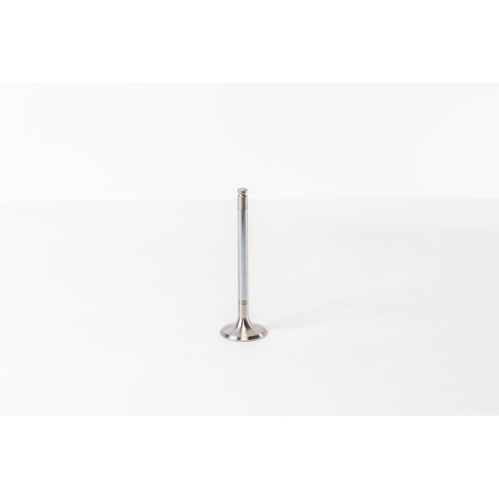 TEMPRA 1.9 D./PUNTO 1.7 D - Valvula MEC