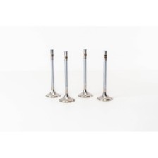 DOBLO-MAREA-BRAVO D/TD 100 1.9/2.4 - Valvula MEC