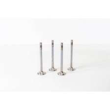 1.9 -2.4 D/TD 100 DOBLO MAREA BRAVO - Valvula MEC