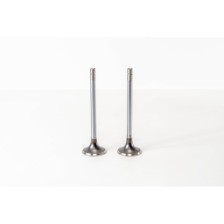 8460.21/41 - EUROTECH/EUROSTAR - Valvula MEC