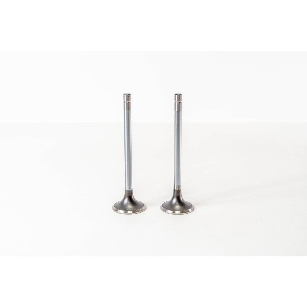 8460.21/41 - EUROTECH/EUROSTAR - Valvula MEC