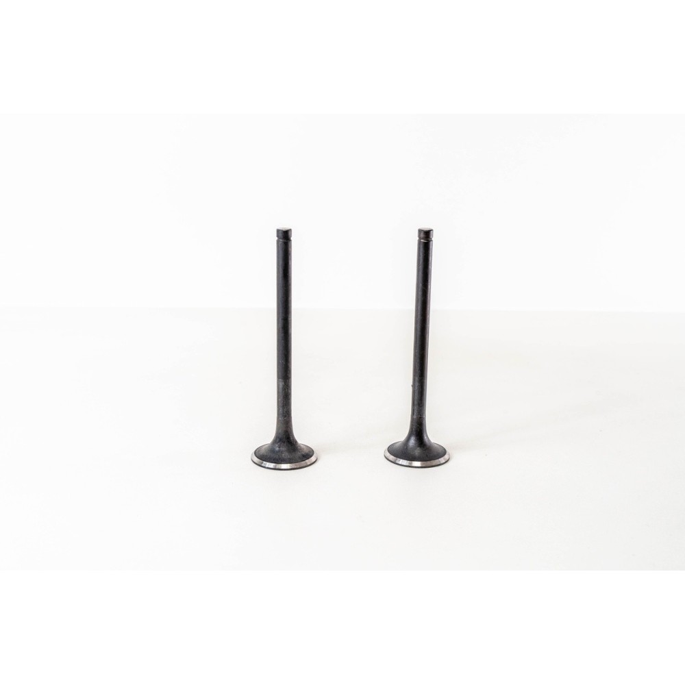 8280.02/22  EX - 190.35/38/42 - Valvula MEC