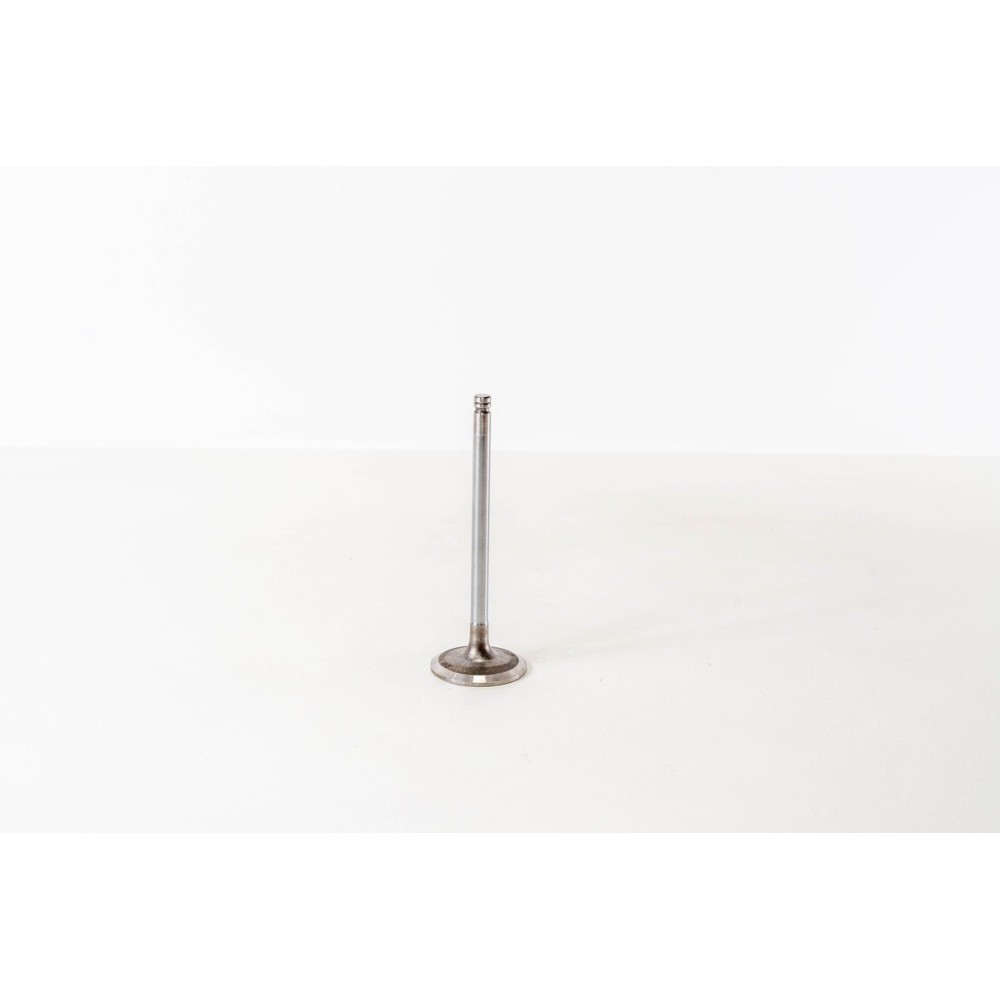 F4BE0641/N60 - NEF 6 CNG - - Valvula MEC