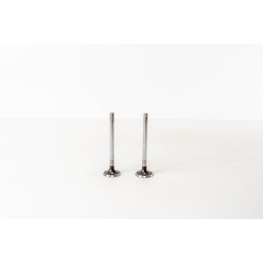 PEUGEOT 205/405 1.9TD - Valvula MEC