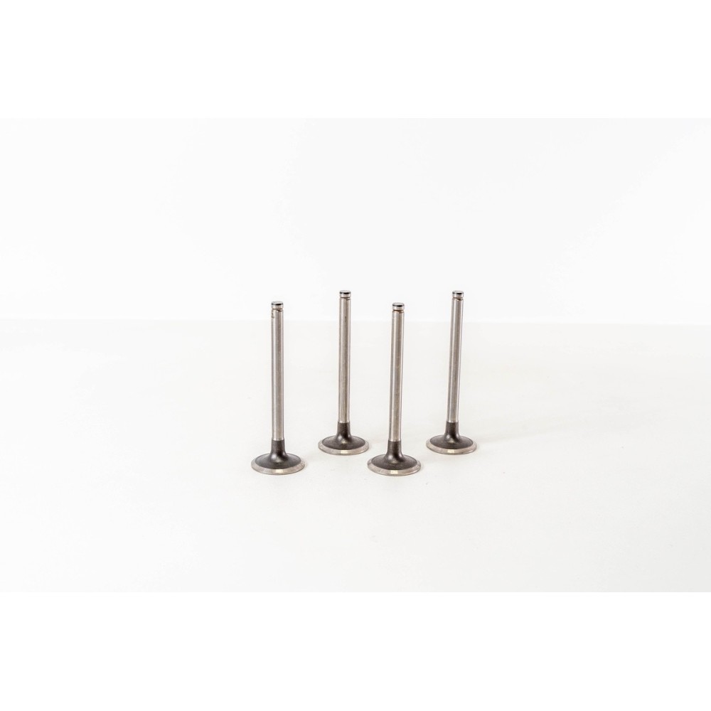 F8Q - RAPID 1.9 D - Valvula MEC