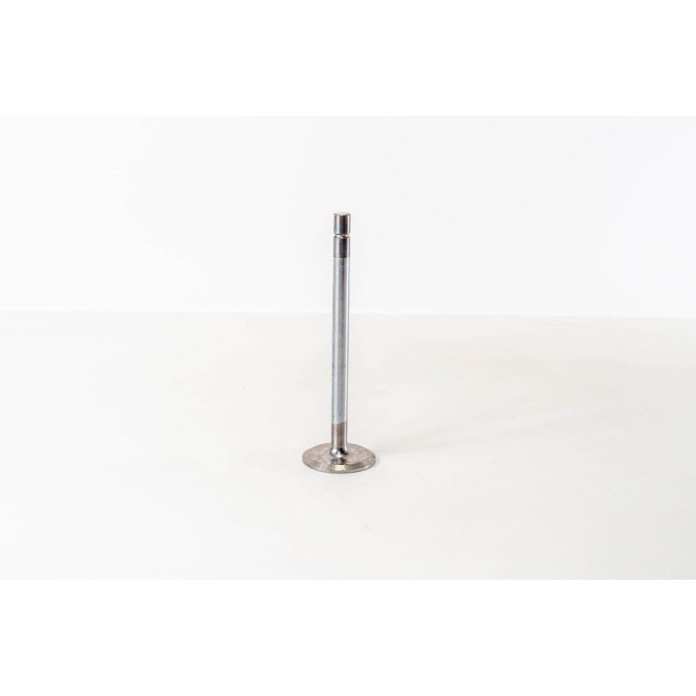 TD 100-103 - F10 - Valvula MEC