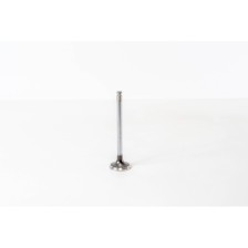 8140.21/27/47/61/23/43 - DAILY - Valvula MEC