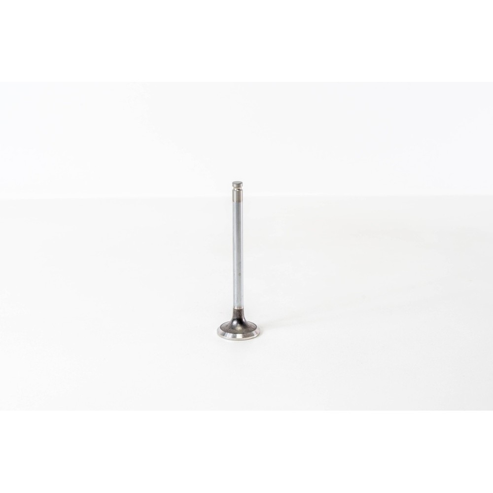 8140.21/27/47/61/23/43 - DAILY - Valvula MEC