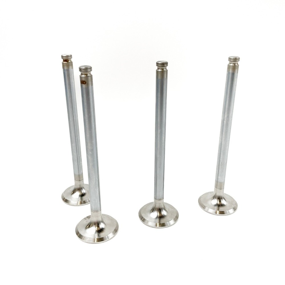 RITMO D - Valvula MEC