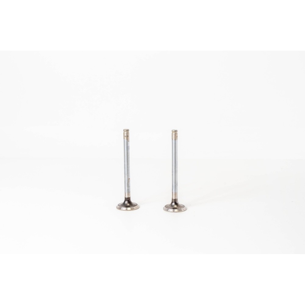 ULISSE 1905 TD - PEUGEOT XUD9T - Valvula MEC