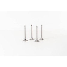 GOLF-2000TDI-16V-29.4X6X88.5 - Valvula MEC