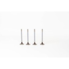 ASTRA/CORSA 1.4 - Valvula MEC