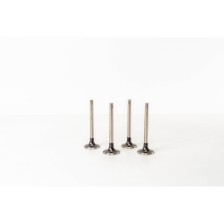 TRANSPORTER 1.6/2.4   DIAM.36X - Valvula MEC