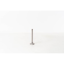 MEGANE F8Q/610/768 1.9D - Valvula MEC