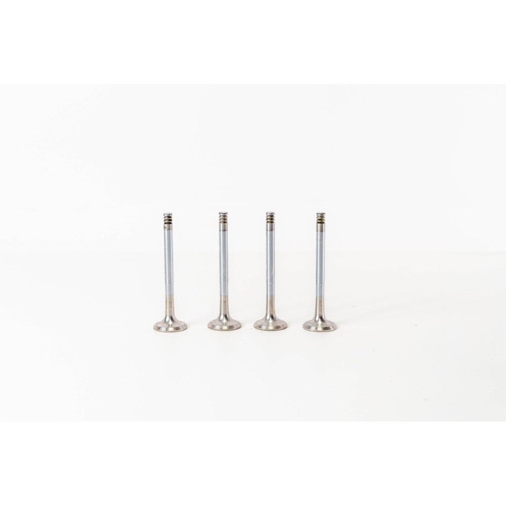 D24 TRANSPORTER 1.6/2.4 - Valvula MEC