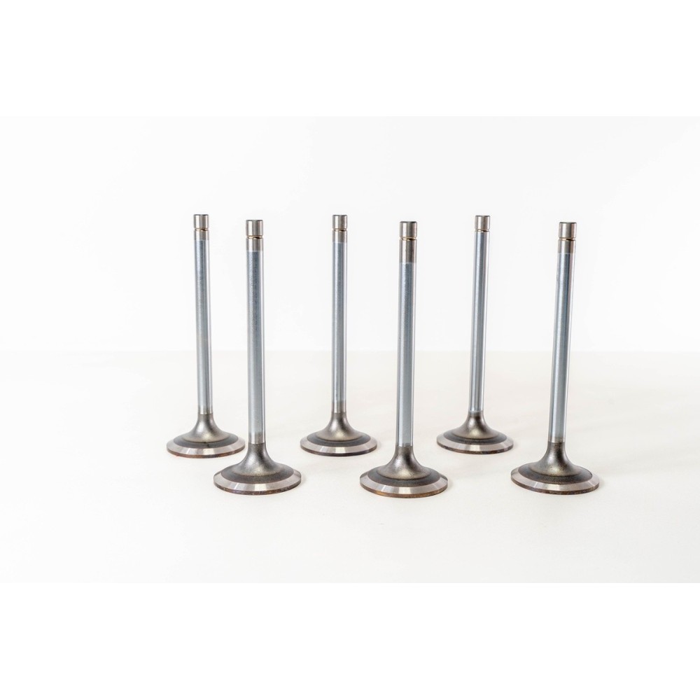 8210.22/42 COLL.10 IN - Valvula MEC