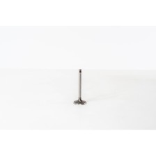 GOLF-2000TDI-8V-36X7X89.5-45° - Valvula MEC