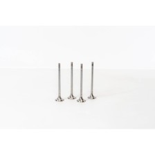 C4 1.4 16V C2 1 ET3J4 - Valvula MEC