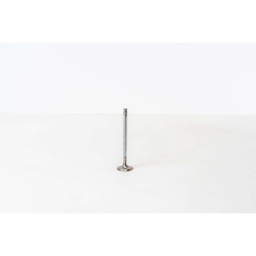 FIESTA 1.200/16V - Valvula MEC