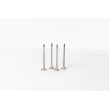 FORD FIESTA 1.2CC 16V - Valvula MEC