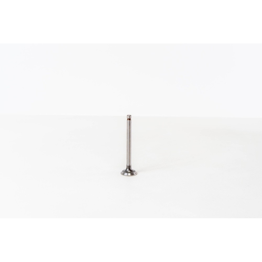 FIAT 600 - Valvula MEC