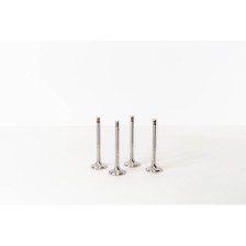 GOLF/POLO 1.9 TDI - STELO 7 - EX - Valvula MEC