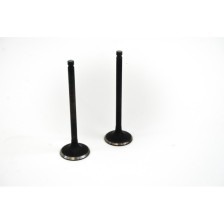 G4JP-SONATA VI/TRAJET 2.0/2.0 16V - Valvula MEC