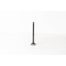 PAJERO TD 2.5 - 4D56/4D55 - Valvula MEC