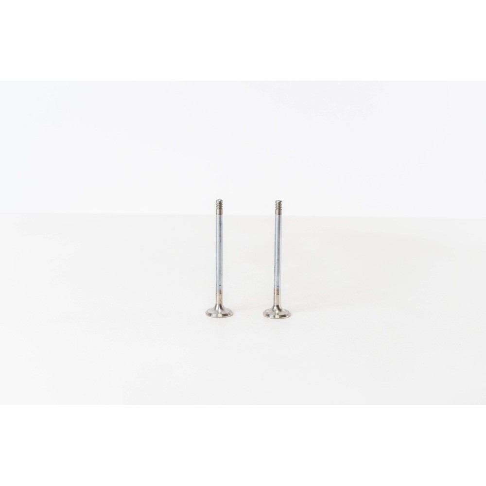 FHA/FHE/FHF - FIESTA IV 1.4 16 - Valvula MEC