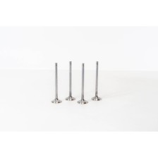 106 - SAXO 1.6I 16V  TU5J4 - Valvula MEC