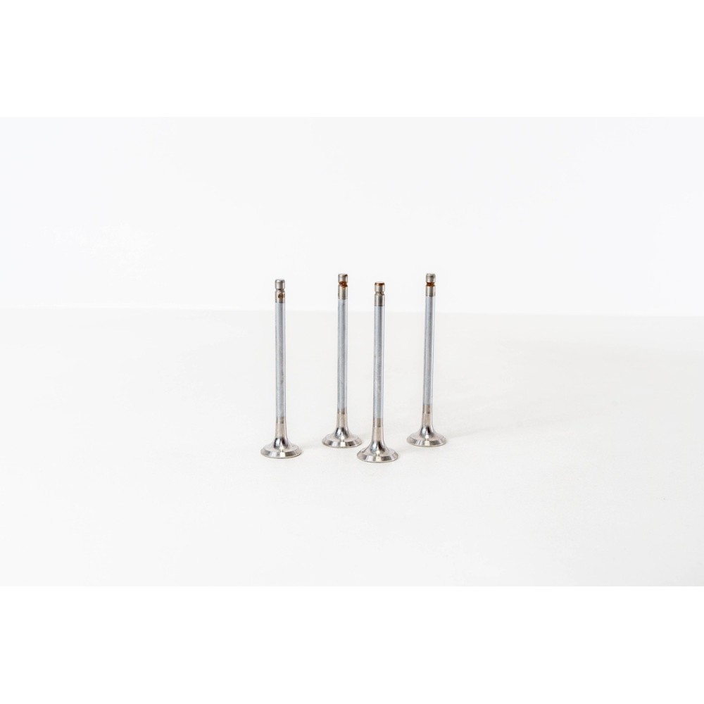 106 - SAXO 1.6I 16V  TU5J4 - Valvula MEC