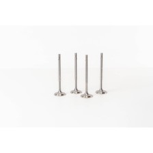 POLO 1.2 12V/1.4/1.6 16V - Valvula MEC