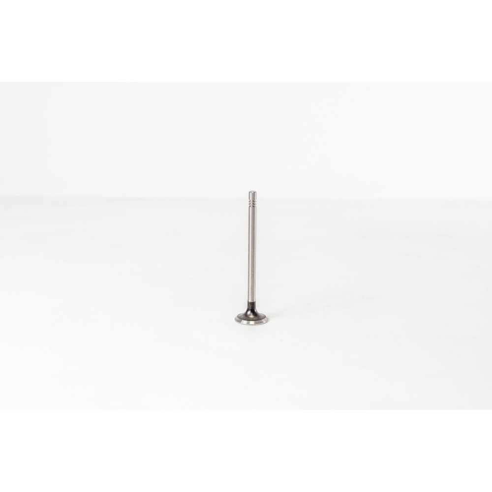 POLO 1.2 12V/1.4/1.6 16V      EX - Valvula MEC