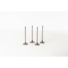 CLIO - MEGANE 1.6I 16V ENG.K4M - Valvula MEC